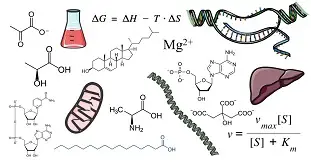 Curso de https://www.uclases.cl/Bioquímica General