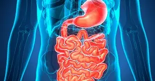 Portada curso de Fisiología y Fisiopatología: Gastrointestinal