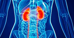 Portada curso de Fisiopatología Renal